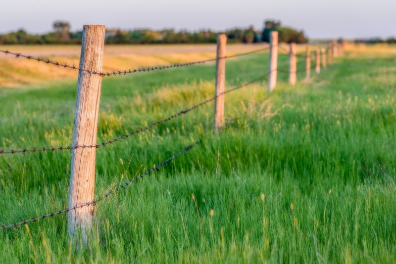 Farm Fence with Barbed Wire