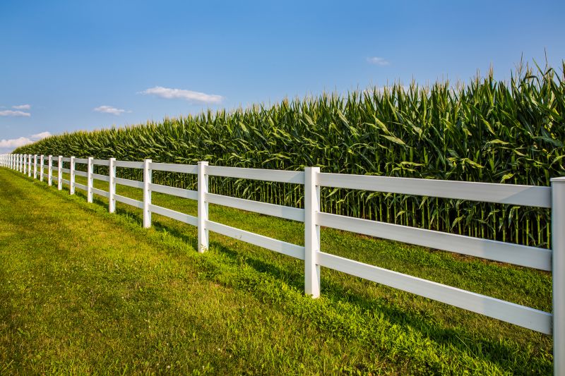 Rail Fence Repair